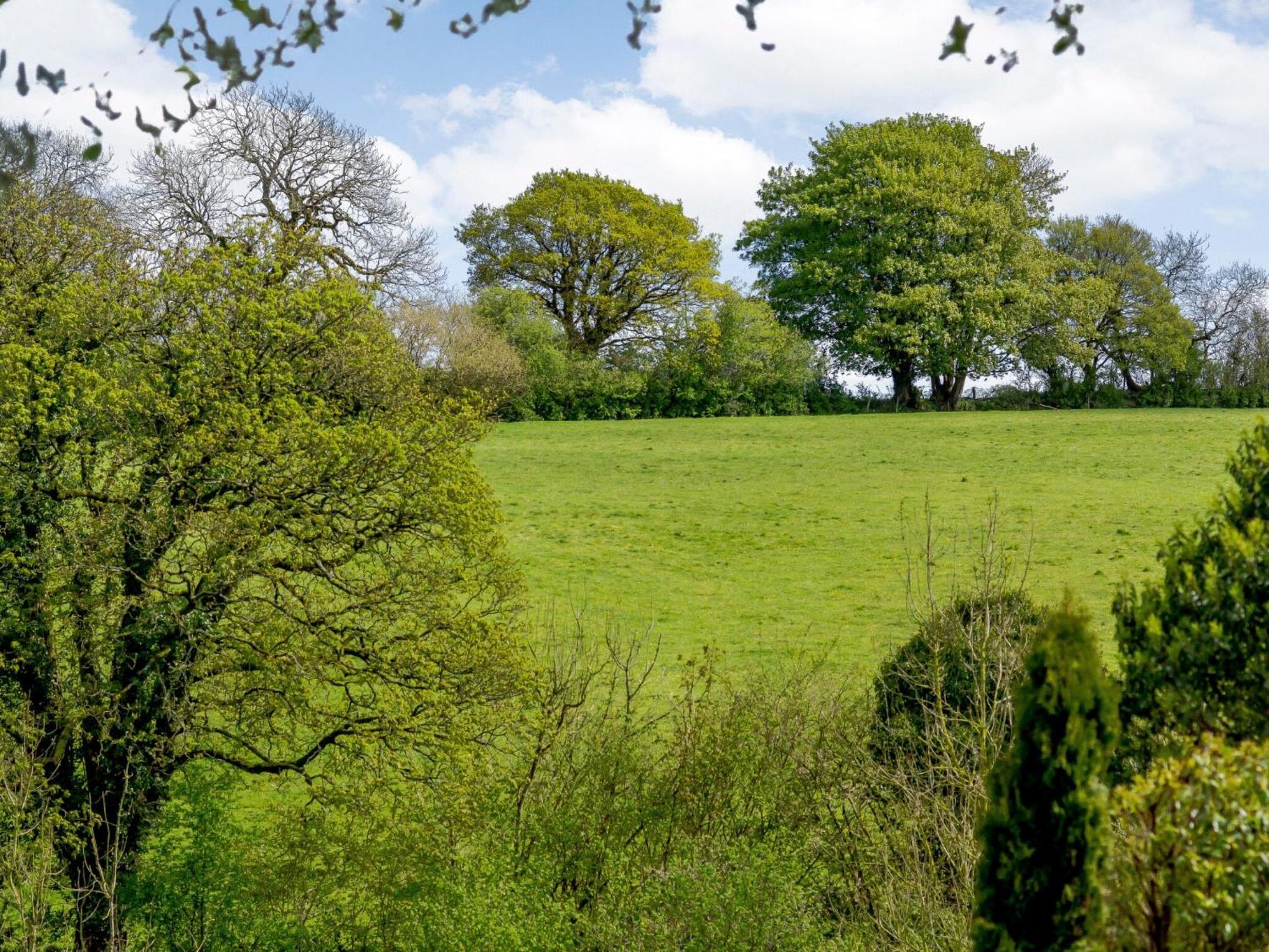 Marigold Villa Shepton Mallet Exteriör bild